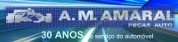 A. M. AMARAL - Peças auto